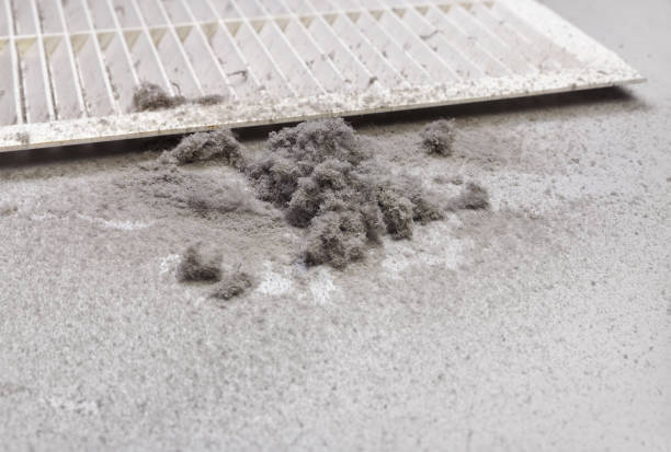 Best Air Duct Cleaning Near Me  in Highlands, TX